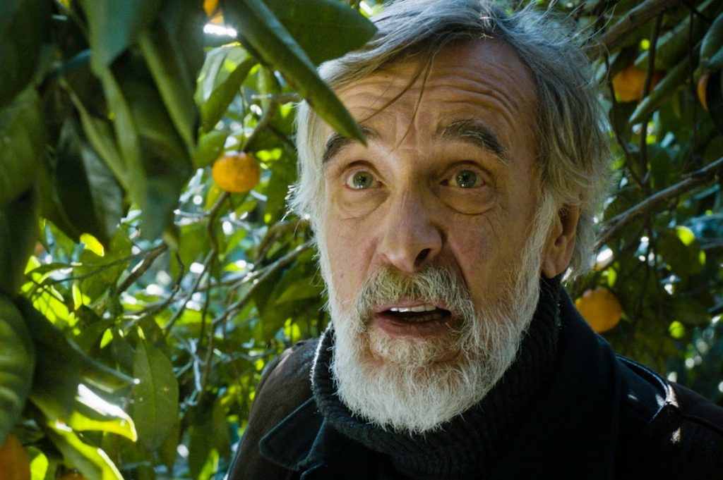 filmarasi-Mandariinid-Tangerines