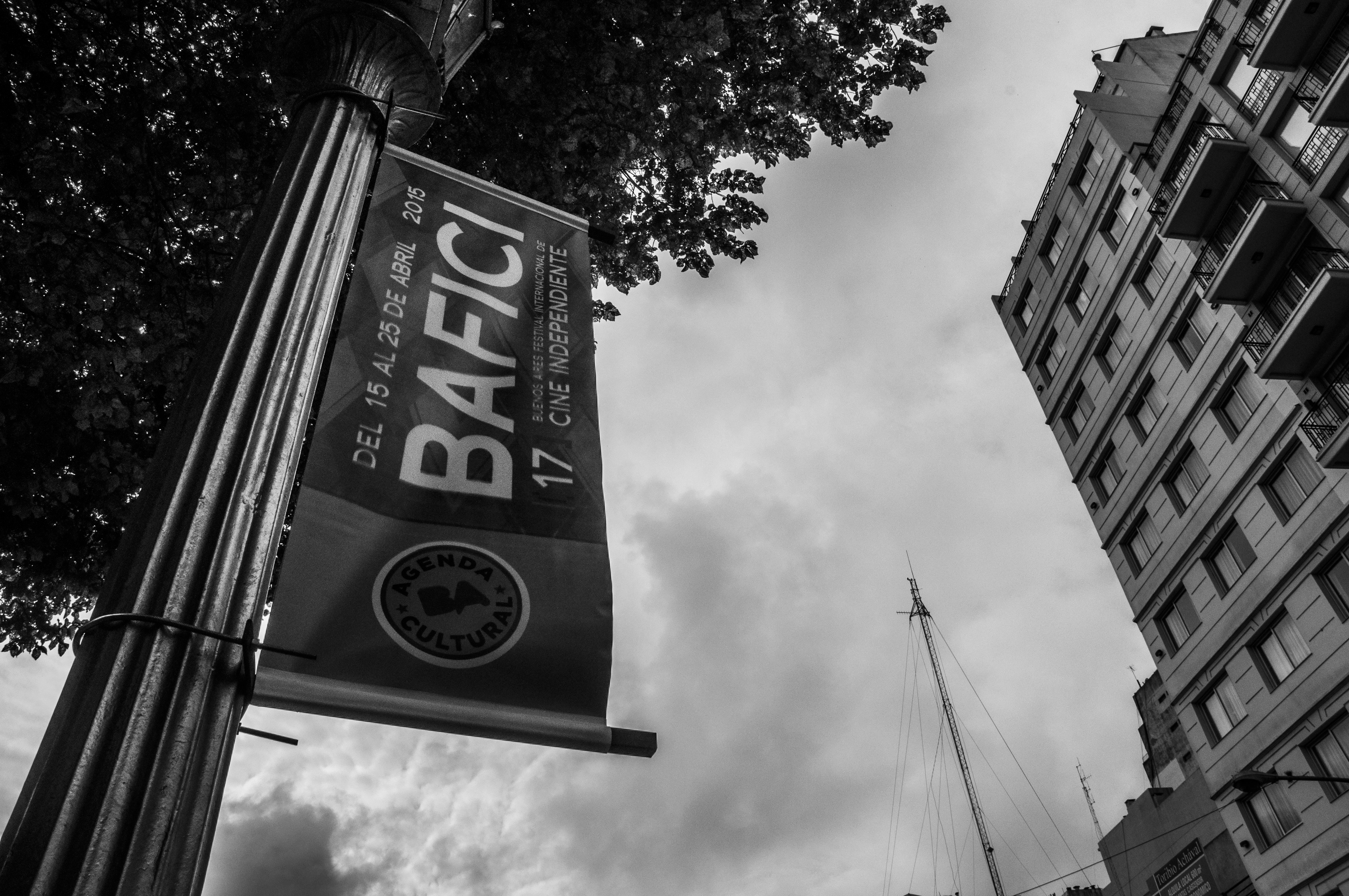 BAFICI 2015: Psicodrama argentino y vampiros neozelandeces