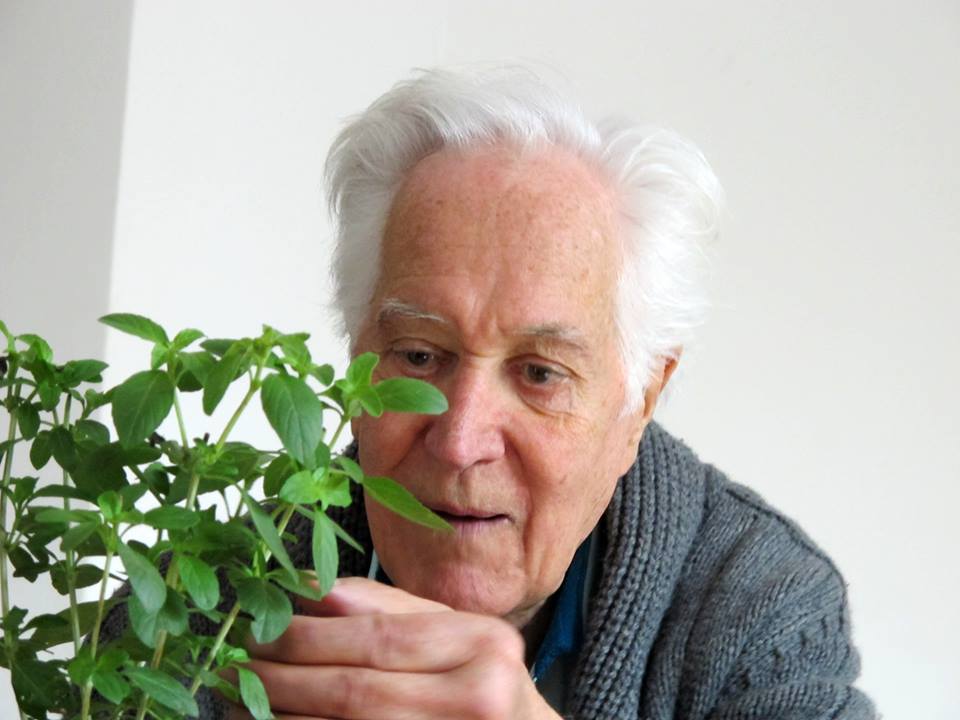 13626417_1100105493401474_1231319457684015232_n