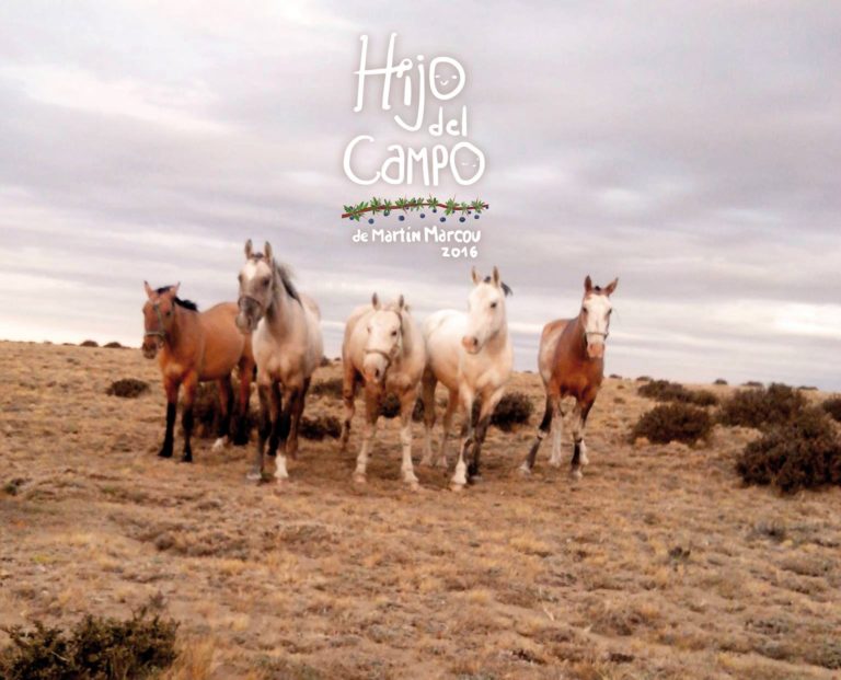 Crítica: HIJO DE CAMPO