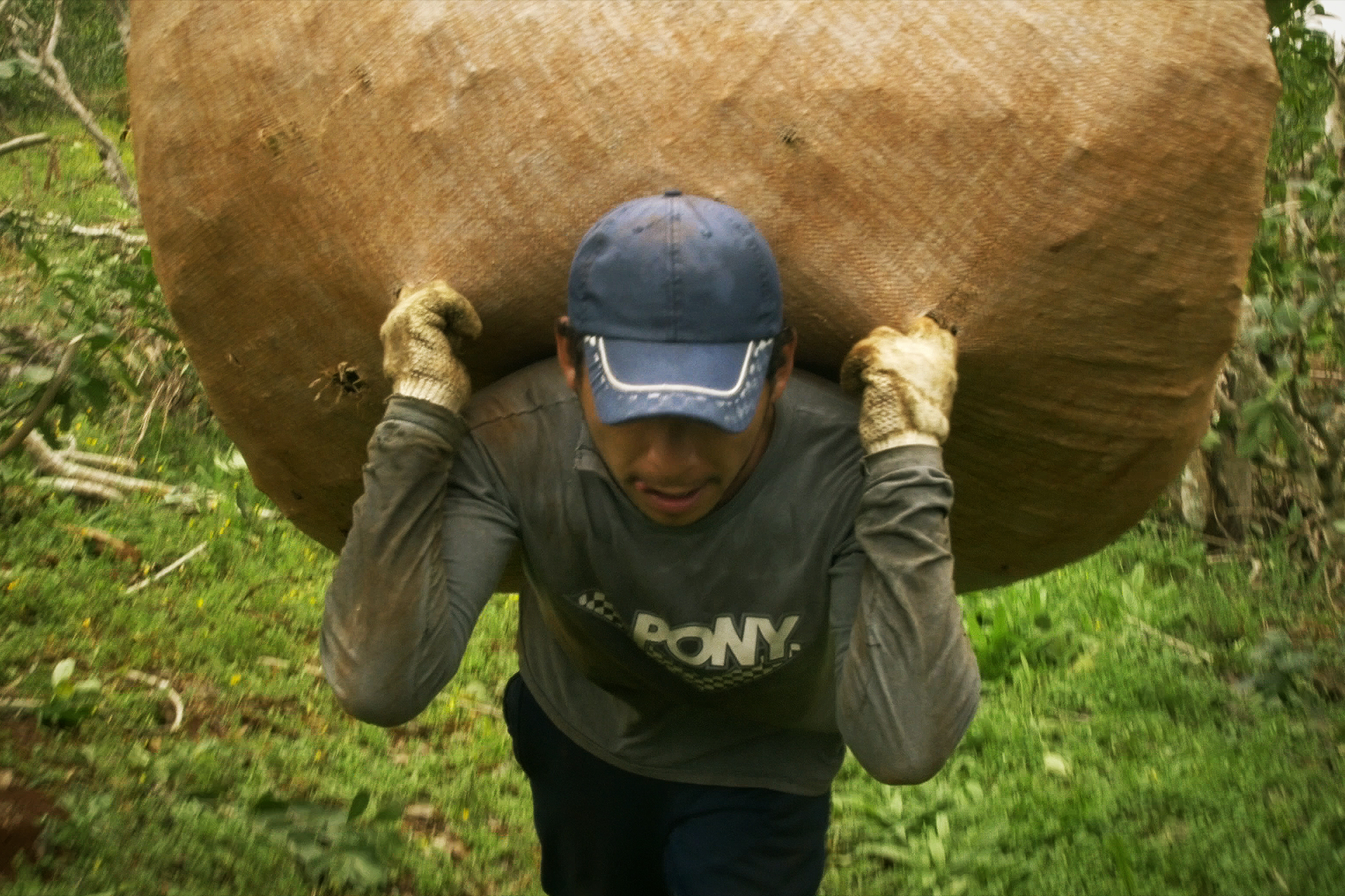 17df03cc12f3c3a56aea4104ee2e20221ff8cefb