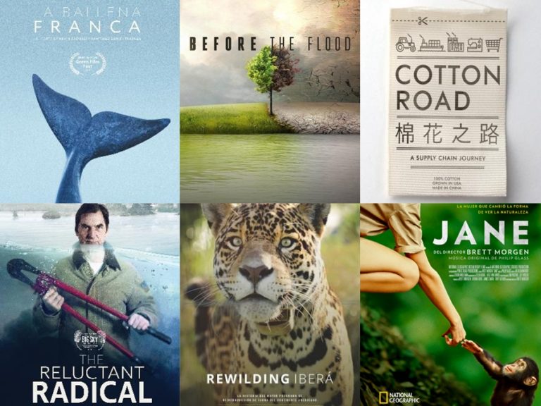 PROGRAMACIÓN DEL GREEN FILM FEST 2018