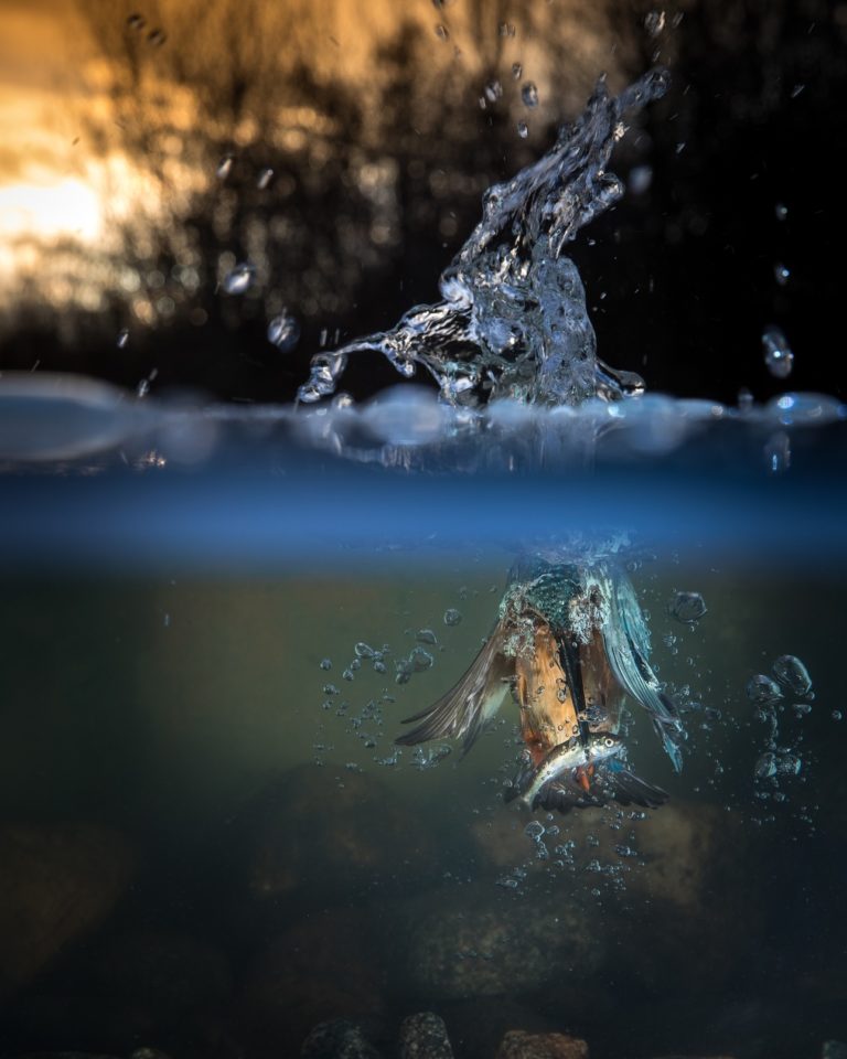 HIPA anuncia a los ganadores de septiembre de su concurso de fotografía de Instagram