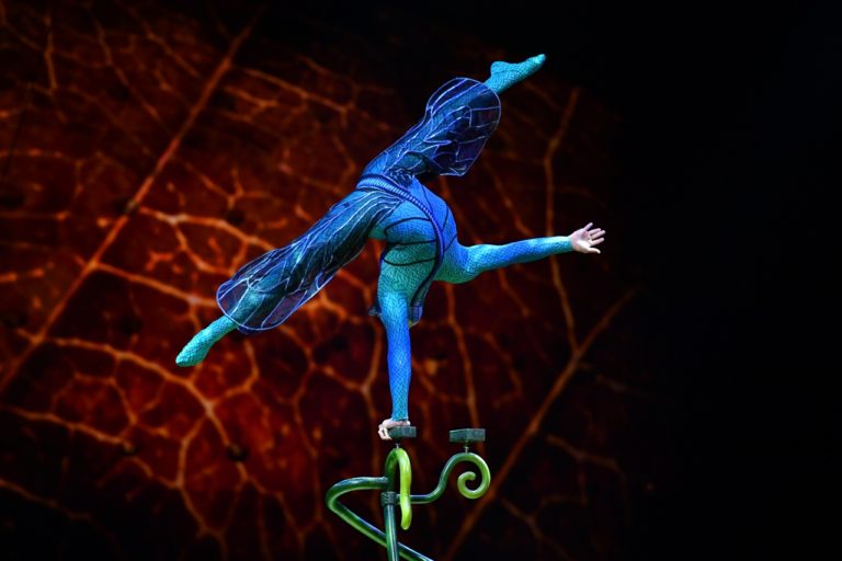 Cirque Du Soleil OVO – Llega a la Argentina!