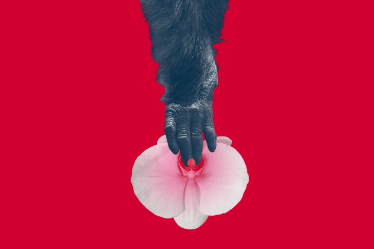 TEATRO: Crítica de «TEORÍA KING KONG»