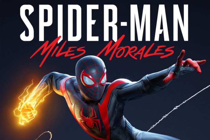 50094555187_7f5e4b4325_o (1)d