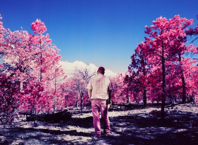 a_8573_3462147_4_-©-Alejandra-Aragon-Mexico-Shortlist-Professional-competition-Creative-2022-Sony-World-Photography-Awards