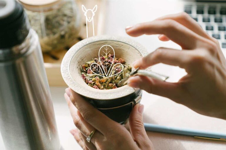 Reinventar la yerba mate: Susurro Nativo