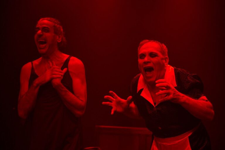 TEATRO: Reseña de ‘LAS CRIADAS’